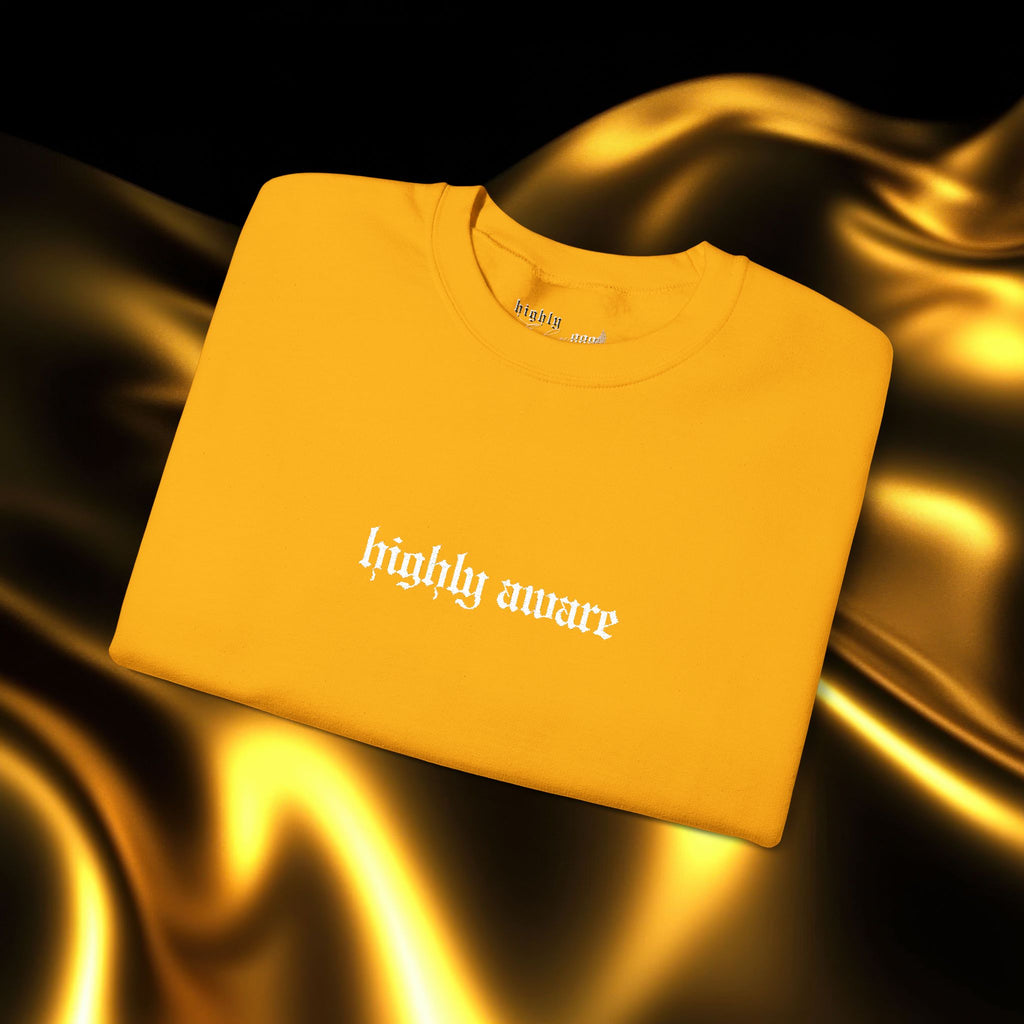 Highly Aware Embroidered Sweatshirt | Minimalist Yet Intentional Affirmation Crewneck