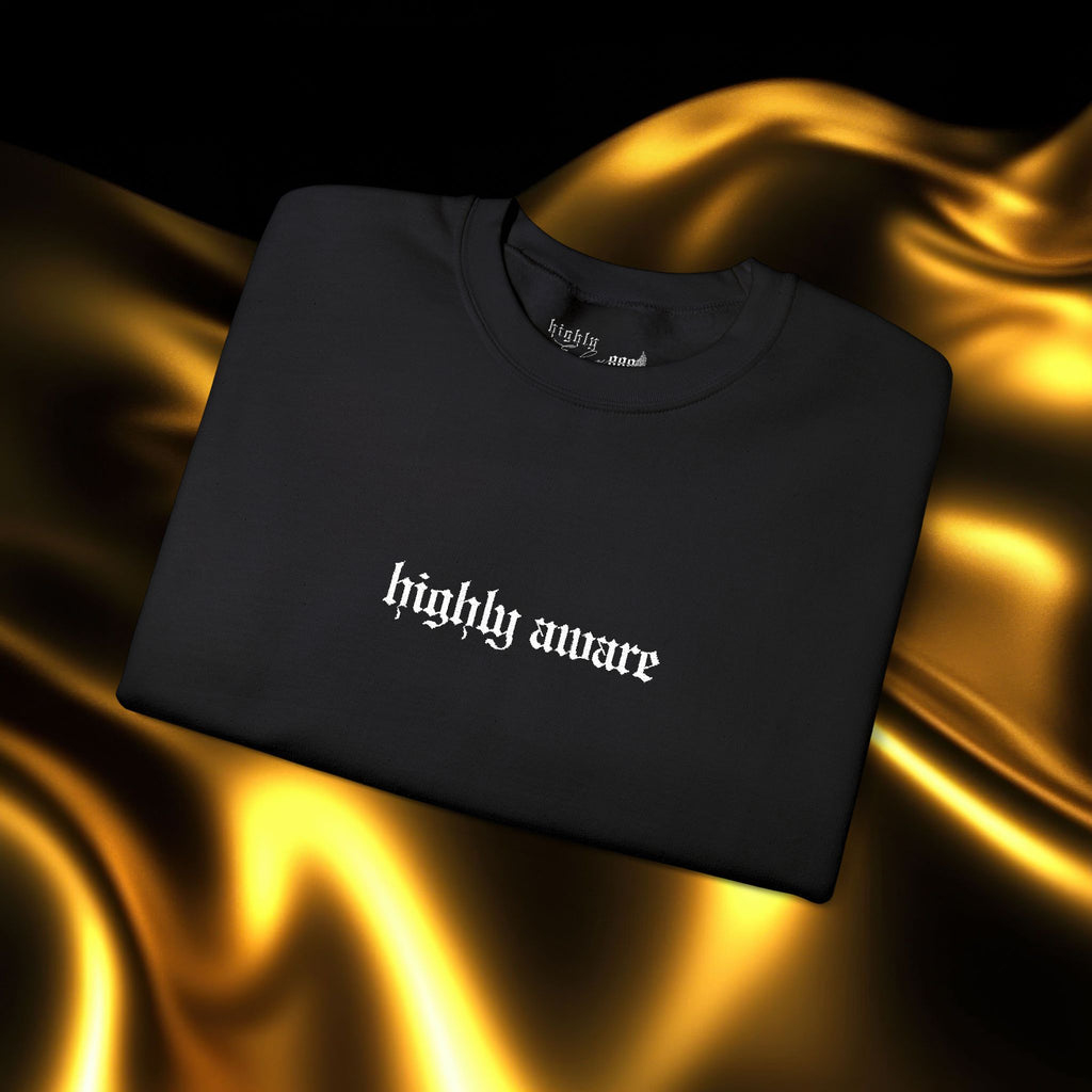 Highly Aware Embroidered Sweatshirt | Minimalist Yet Intentional Affirmation Crewneck