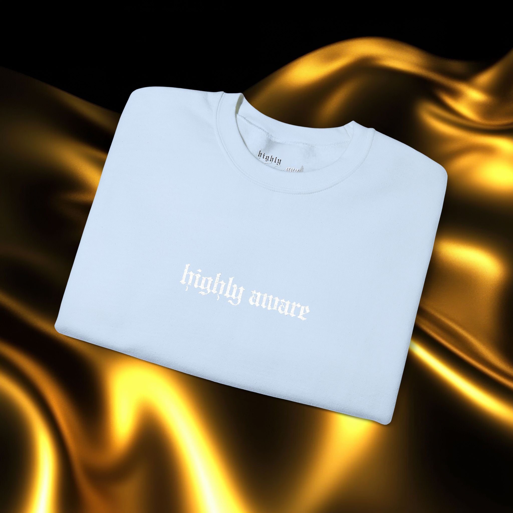 Highly Aware Embroidered Sweatshirt | Minimalist Yet Intentional Affirmation Crewneck